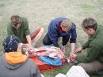 Panensk eky Albnie Expedice 2009, Leton upraven program, kde bylo hodn dn na vod a mn pejezd ml vech 5 P a 7* partu. - fotografie 179